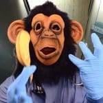 Doctor Bobo, Simian Medical Assistant