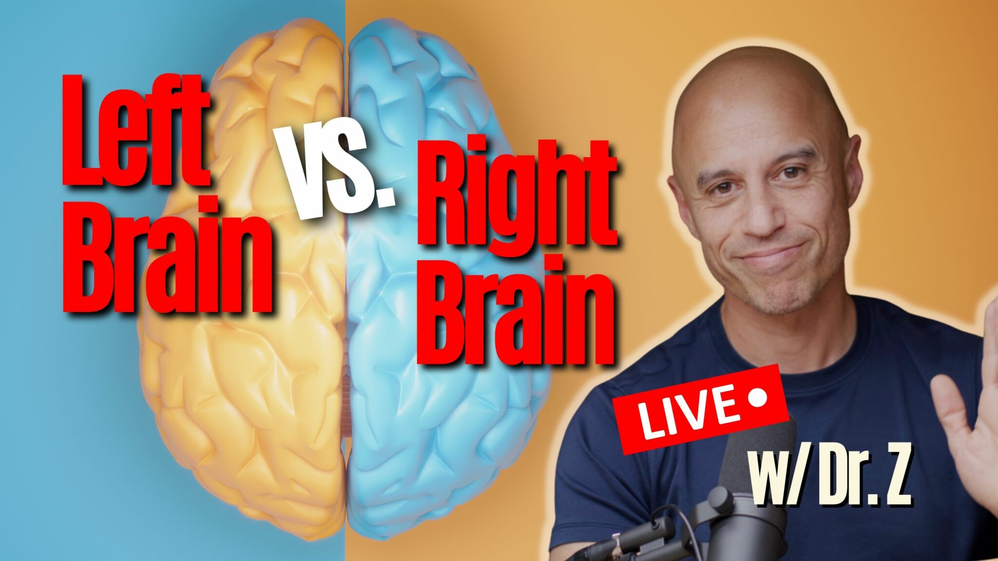 Left Brain Vs Right Brain The Future Of Humanity